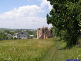 P6073503